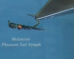Atando con Davie McPhail, Melanistic Pheasant Tail Nymph
